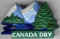 Canada dry 03.jpg (16094 octets)