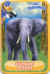 Danonino Elephant.jpg (103379 octets)