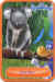 Danonino Koala.jpg (113473 octets)