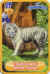 Danonino Tigre blanc.jpg (41177 octets)