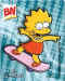 BN Simpsons 01.jpg (21460 octets)