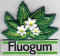 Fluogum 02.jpg (22481 octets)