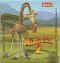 Herta Madagascar 2 girafe.jpg (29303 octets)