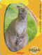 Kellogg's Ushuaia kangourou.jpg (54353 octets)