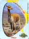 Kellogg's Ushuaia lama.jpg (68904 octets)