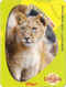 Kellog's Ushuaia lion.jpg (201296 octets)