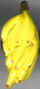 Banane 04.jpg (30545 octets)