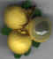 Fruit exotique 03.jpg (61006 octets)