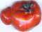 Tomate 09.jpg (13937 octets)
