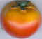 Tomate 10.jpg (3143 octets)