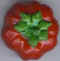 Tomate 11.jpg (7944 octets)