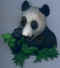 Panda 02.jpg (34267 octets)