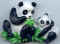 Panda et bebe.jpg (14463 octets)