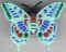 Papillon 09.jpg (10739 octets)