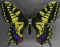 Papillon 13.jpg (236679 octets)