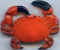 Crabe 03.jpg (13243 octets)