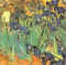 Van Gogh les Iris.jpg (97797 octets)