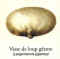 Atlas champignon 24.jpg (10150 octets)