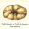Atlas champignon 35.jpg (15063 octets)