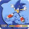 Staks Sonic 137.jpg (40299 octets)