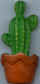 Cactus 04.jpg (13390 octets)