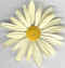 Fleur 01.jpg (24119 octets)