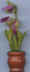 Pot de fleurs 12.jpg (14261 octets)