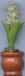 Pot de fleurs 16.jpg (11277 octets)
