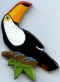 Bresil toucan.jpg (53568 octets)