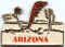 Arizona 24.jpg (21630 octets)