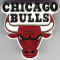 Chicago Bulls.jpg (17250 octets)