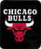 NBA 2009 Chicago Bulls.jpg (16144 octets)