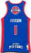 NBA 2009 Detroit Pistons 01.jpg (13808 octets)