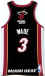 NBA 2009 Miami Heat 03.jpg (39088 octets)