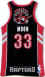 NBA 2009 Toronto Raptors 33.jpg (16931 octets)